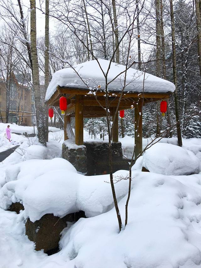 聚龙泉养生会馆