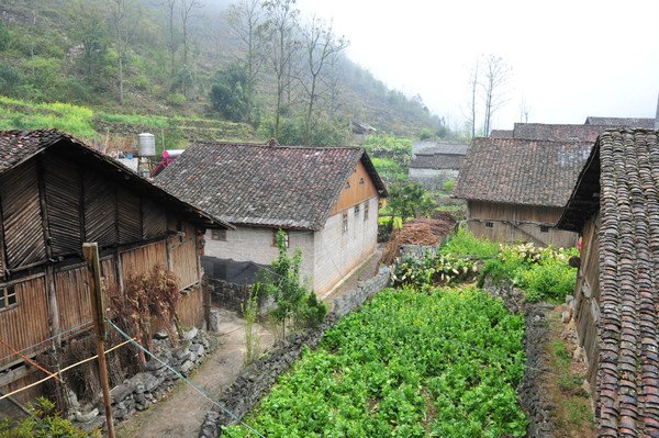 吞力黑衣壮山寨