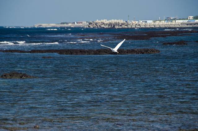 浅水湾海滨公园
