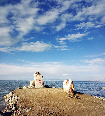 "青海湖        离开倒淌河，就进入青海湖境内，一路美景，蓝天白云自然少不了，幸运地还..._青海湖"的评论图片