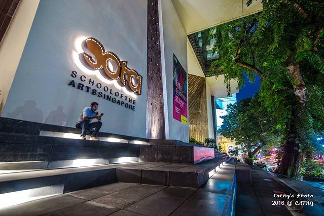 新加坡艺术学院