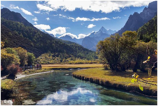 稻城亚丁-冲古草甸