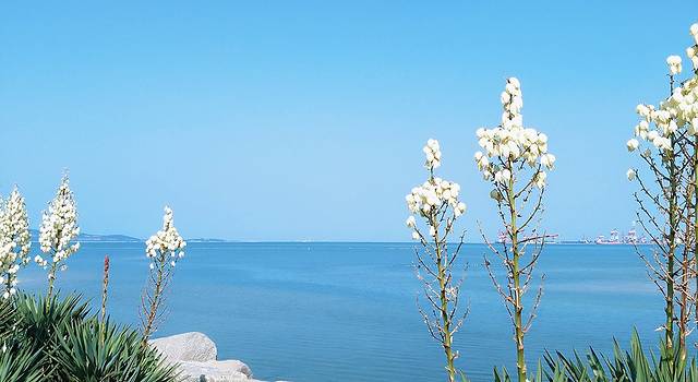 威海 -- 一城海水,半城繁华。
