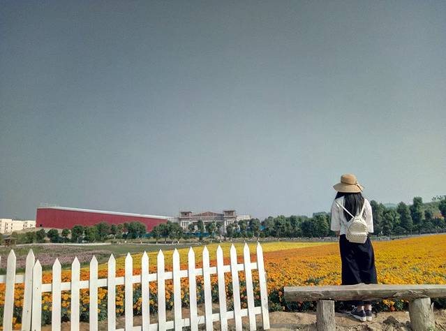 忻城薰衣草庄园