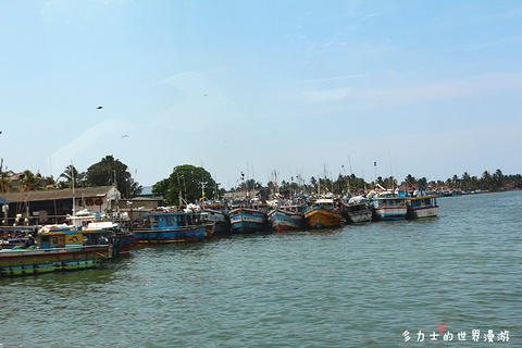 尼甘布中心鱼市场旅游景点攻略图