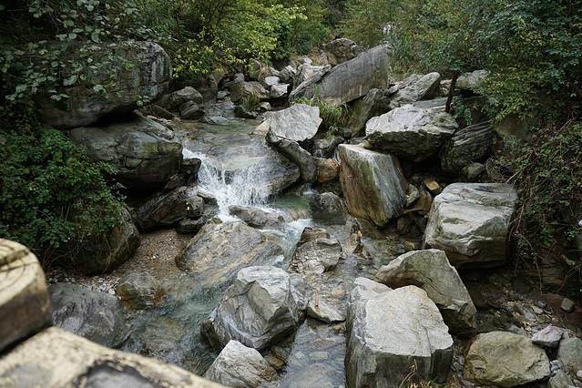 莲花洞森林公园