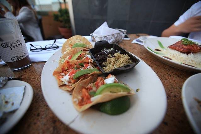 The Cheesecake Factory