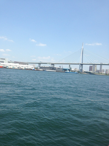 2017周游券没有儿童票,所以儿童我是单次购买