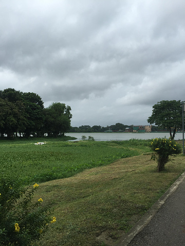 缅甸仰光2019GDP_缅甸仰光女