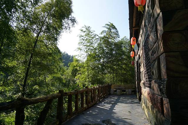 莲花洞森林公园