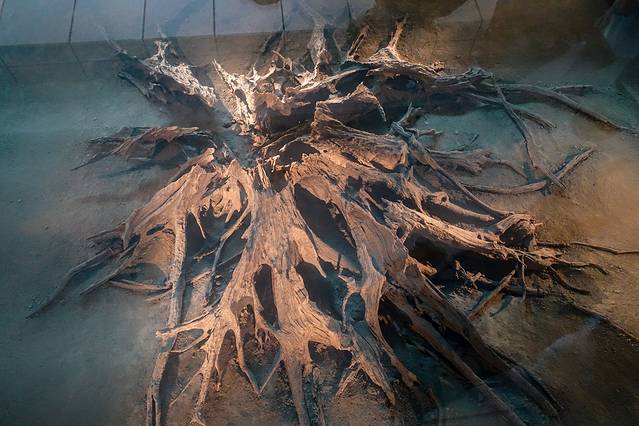 金沙遗址博物馆