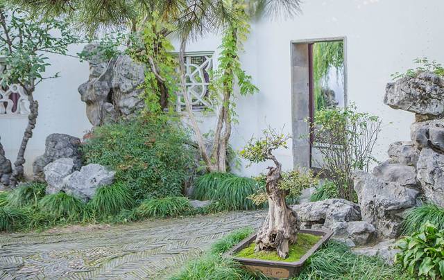 【心 · 旅生活】秋有金陵,醉笑陪君