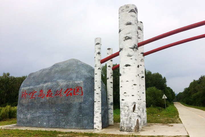 2017饶河来五林洞的中巴上,售票员给联系的车