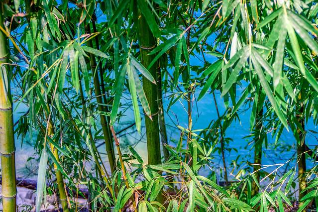 千岛湖风景区-开心锁岛