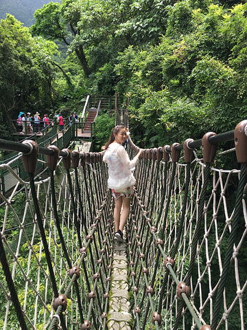 "四周都是鬼斧神工的奇诡俊峰山峦层叠看过《赛德克巴莱》这部电影的朋友们肯定知道在台湾的中部海拔..._太鲁阁国家公园"的评论图片