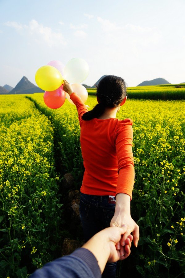 追逐金色花海,2015年春节罗平自驾游记