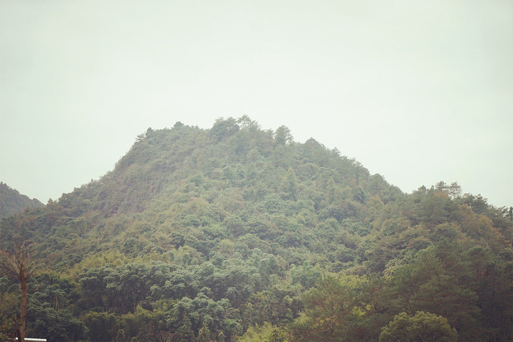 "主要是砾岩和砂岩)。受垂直或高角度解理切割，并在差异风化、重力崩塌、流水溶蚀、风力侵蚀等综合作..._巴寨"的评论图片