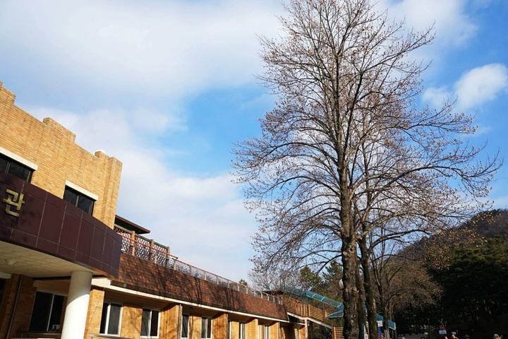 2022青南台游玩攻略,小豆子发现了个好玩的东西。...【去哪儿攻略】