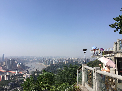 南山一棵树观景台