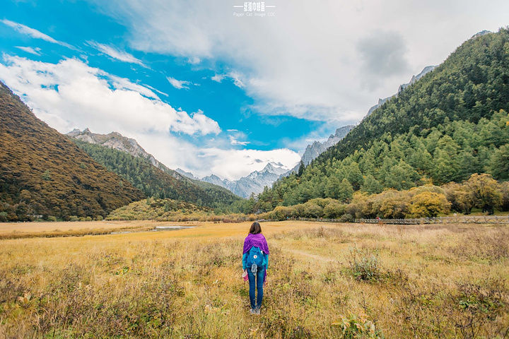 "_甘孜稻城亚丁景区-冲古草甸"的评论图片