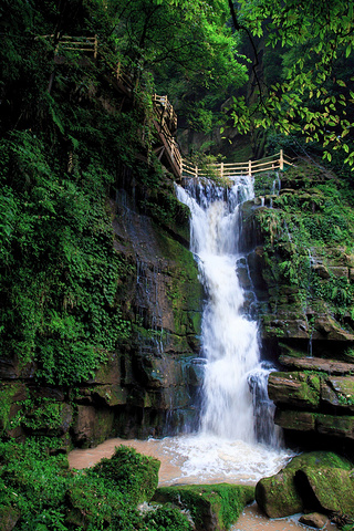 这个是白龙潭瀑布,也是碧峰峡景区里最壮观的瀑布,最长的瀑布.