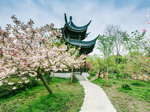 梅花山旅游景点图片