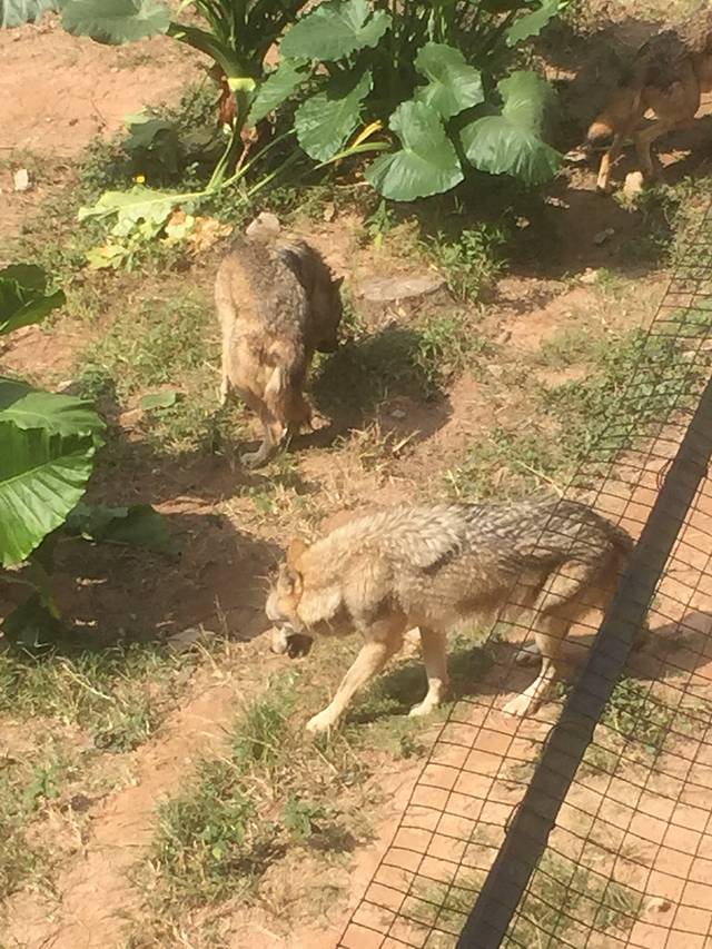 西丽湖垂钓中心