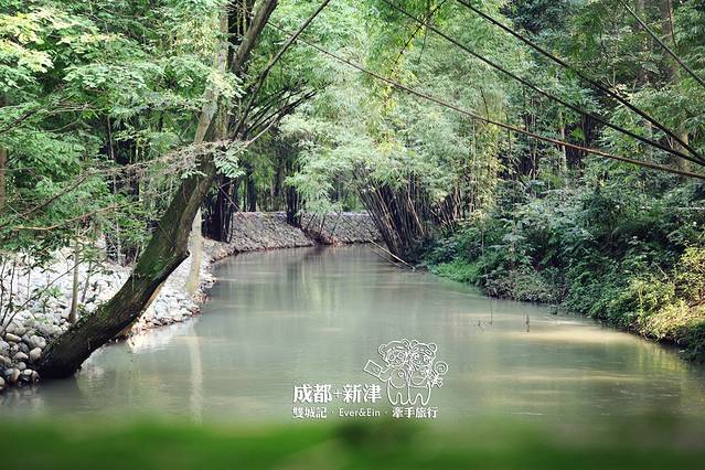 斑竹林景区