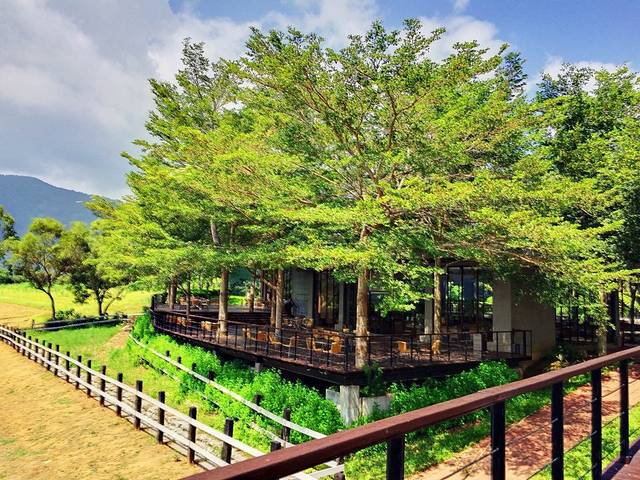 台东原生应用植物园