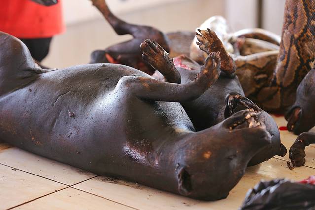 美娜多 ☆ 美,那么多!