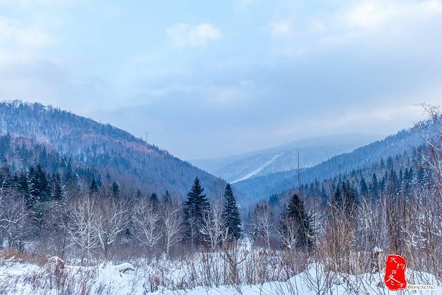 雪乡狗熊岭景区