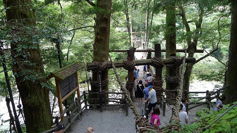 猿藤蔓桥旅游景点攻略图