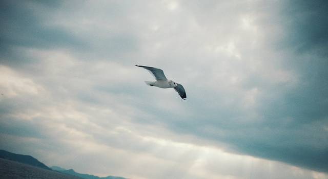 有座城 叫做香川你知道吗 21高松游记 高松旅游 自助游 自由行 游玩攻略 去哪儿攻略