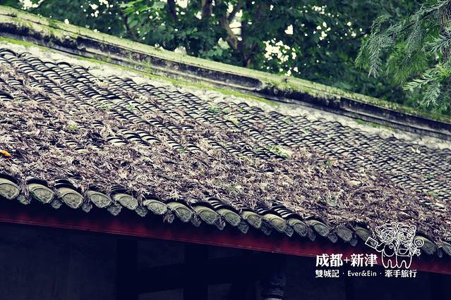 新津区纯阳观博物馆