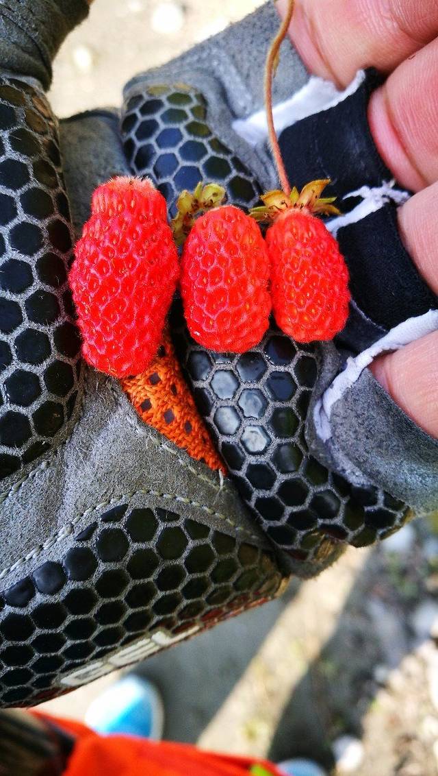 2016 行走川藏 映秀-炉霍