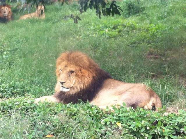 重庆野生动物世界