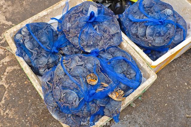 赶海看爬爬你若有梦,我必全力实现