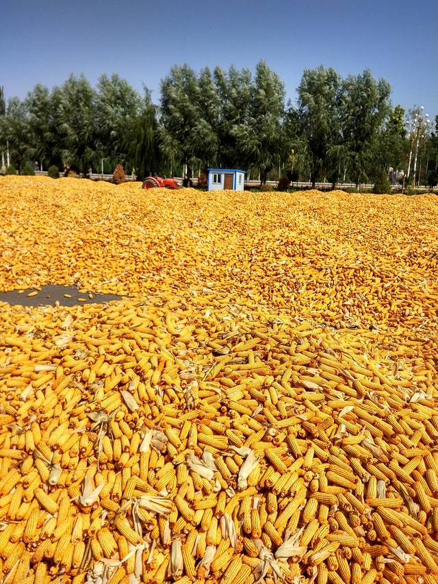 中华回族第一街