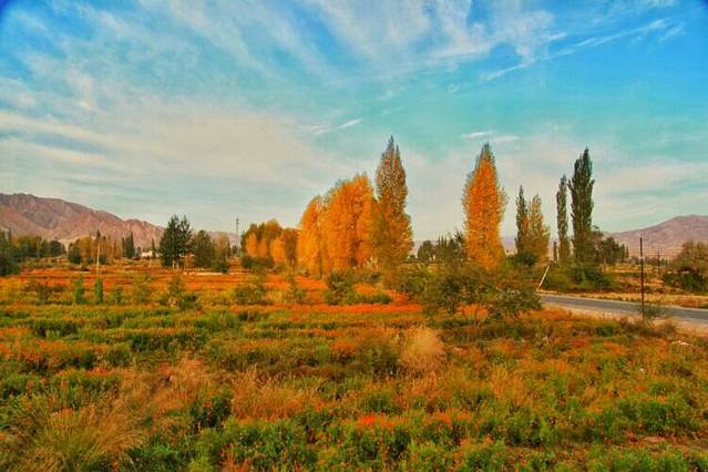 西北有秋浓,一顾倾人城