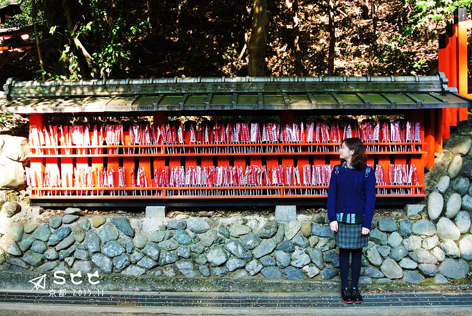 冬至未至 枫叶已满 日本13日行 东京旅游攻略 游记 去哪儿攻略