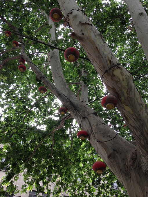 北京女汉子漂游记——赵国故都邯郸穿越之旅(原创)-邯郸旅游攻略-游记