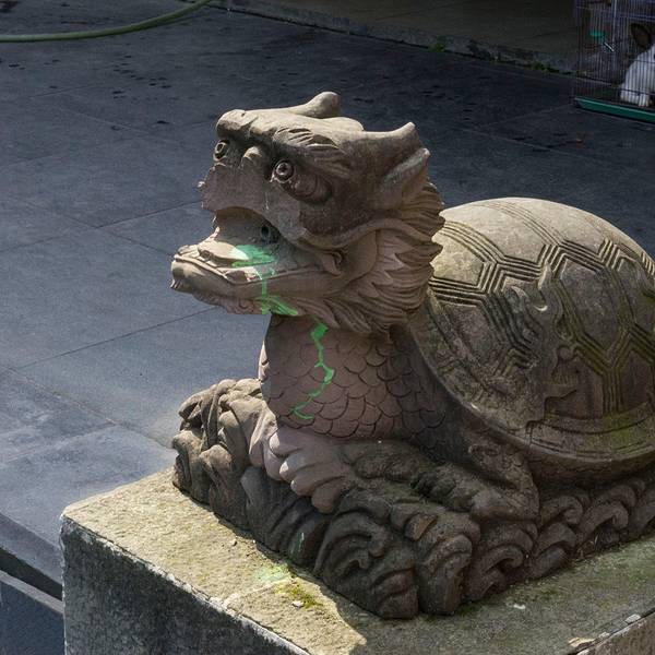 2019新繁东湖公园门票,成都新繁东湖公园游玩