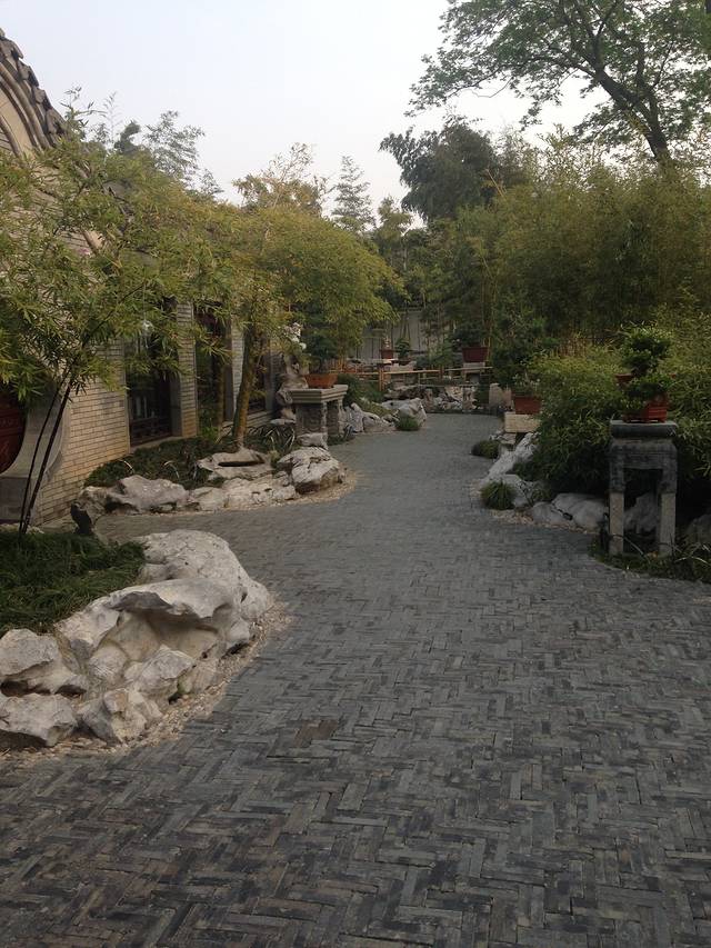 扬州大运河文化旅游度假区·盆景园