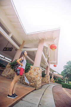 小鸟天堂旅游景点攻略图