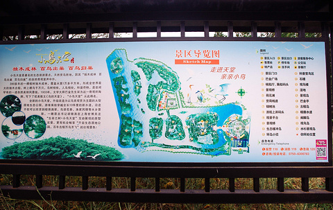 小鸟天堂旅游景点攻略图