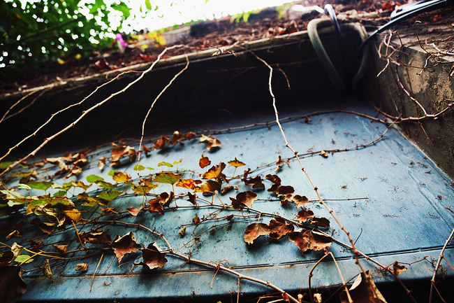 速食重庆,在千与千寻的梦中不要醒来_重庆旅游