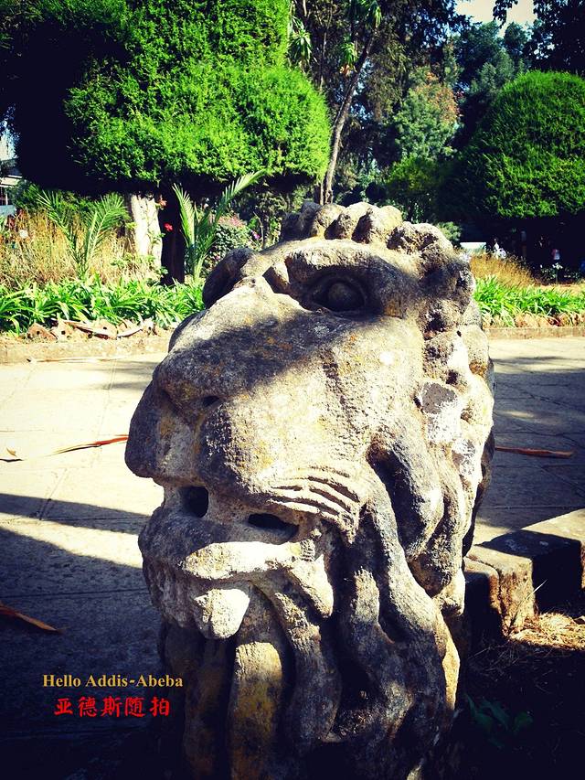 亚的斯亚贝巴大学