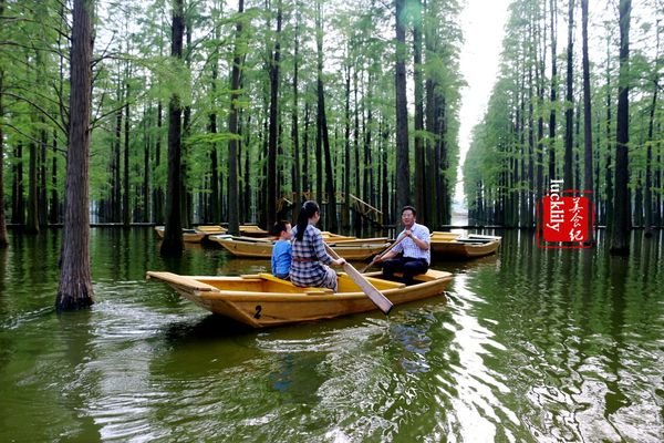 渌洋湖湿地公园