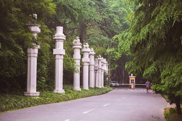 钟山风景名胜区