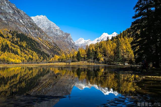 四姑娘山长坪沟景区